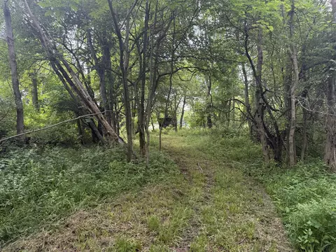 Hagerman, Leonard, MI 48367 photo 30