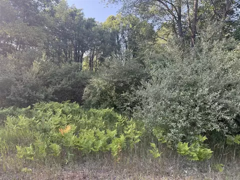 6380 Clubhouse Dr E #419, Stanwood, MI 49346