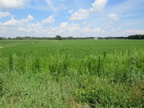 Farrand, Colon, MI 49040 photo 10