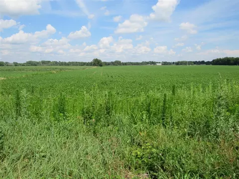 Farrand, Colon, MI 49040 photo 10