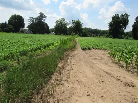 Farrand, Colon, MI 49040 photo 3