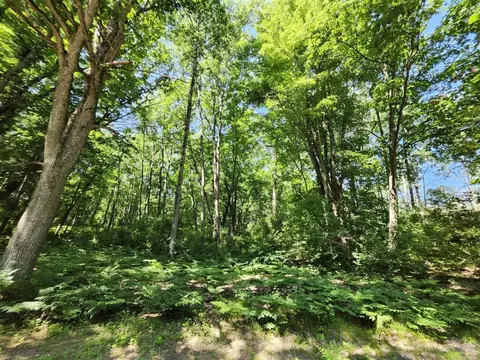 Exterior - 2867 E Hawley, Custer, MI 49405 photo 16 of 28