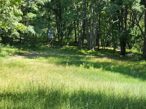Exterior - 2867 E Hawley, Custer, MI 49405 photo 13 of 28