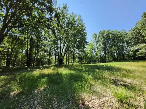 Exterior - 2867 E Hawley, Custer, MI 49405 photo 15 of 28