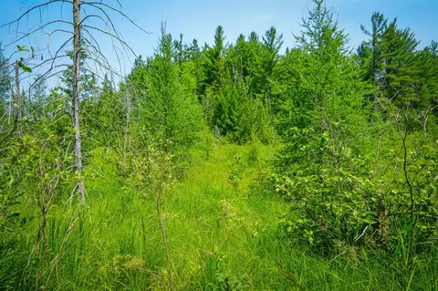 V/l Glenrose, Wolverine, MI 49799 photo 28