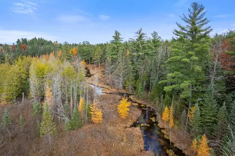 V/l Glenrose, Wolverine, MI 49799 photo 16