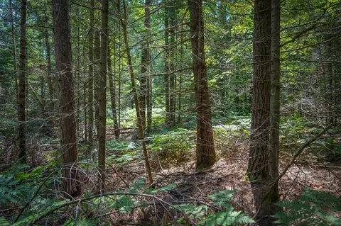 V/l Glenrose, Wolverine, MI 49799 photo 32