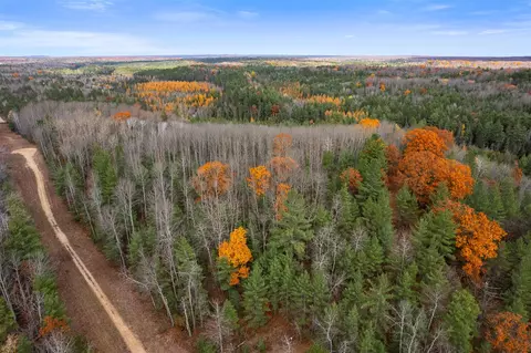 V/l Glenrose, Wolverine, MI 49799 photo 18