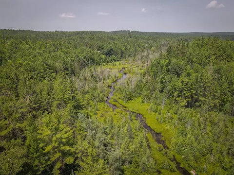 V/l Glenrose, Wolverine, MI 49799 photo 21