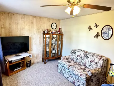 Living - 111 S Hemlock, Evart, MI 49631 photo 1 of 2