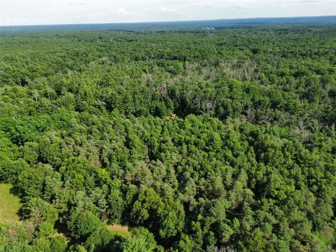 Vl E Michland Path, White Cloud, MI 49349 photo 6