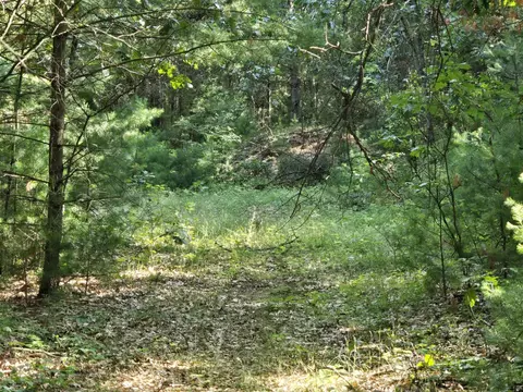 Vl E Michland Path, White Cloud, MI 49349 photo 3