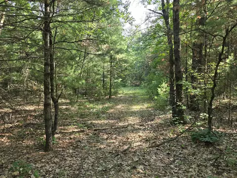 Vl E Michland Path, White Cloud, MI 49349 photo 4