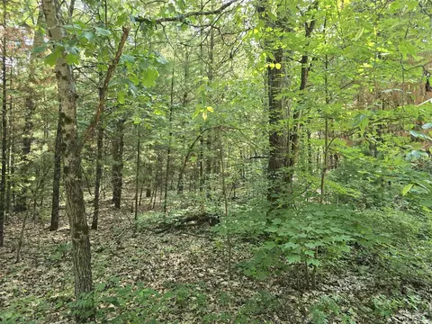 Vl E Michland Path, White Cloud, MI 49349 photo 2