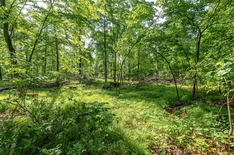 10905 E Shr, Portage, MI 49002 photo 3