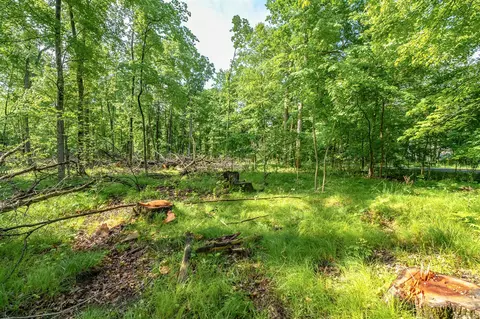 10905 E Shr, Portage, MI 49002 photo 5
