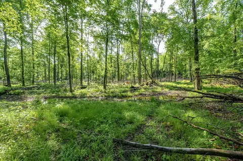 10905 E Shr, Portage, MI 49002 photo 7