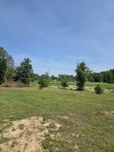 H, Albion, MI 49224 photo 16