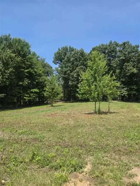 H, Albion, MI 49224 photo 14