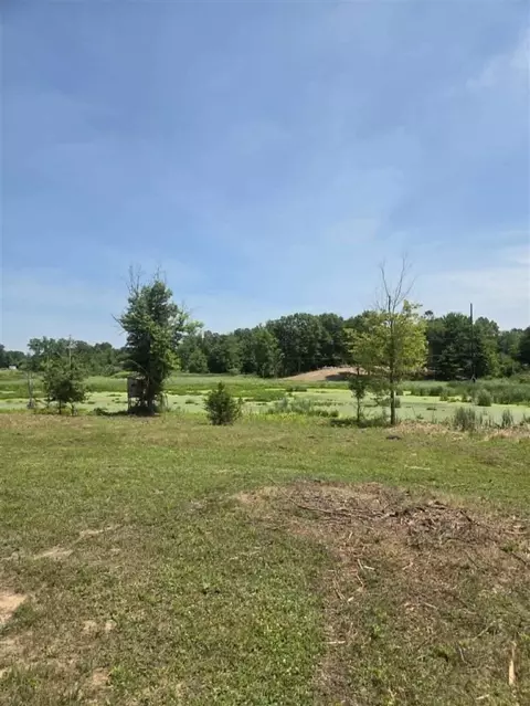 H, Albion, MI 49224 photo 17