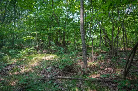 Colfax Park, Walkerville, MI 49459 photo 17