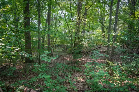 Colfax Park, Walkerville, MI 49459 photo 15