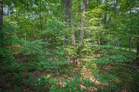 Colfax Park, Walkerville, MI 49459 photo 11