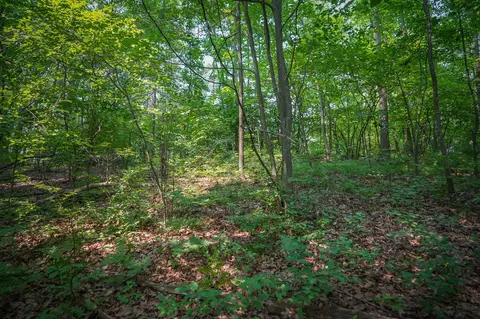 Colfax Park, Walkerville, MI 49459 photo 18