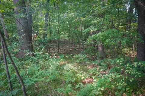 Colfax Park, Walkerville, MI 49459 photo 9