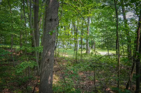 Colfax Park, Walkerville, MI 49459 photo 12