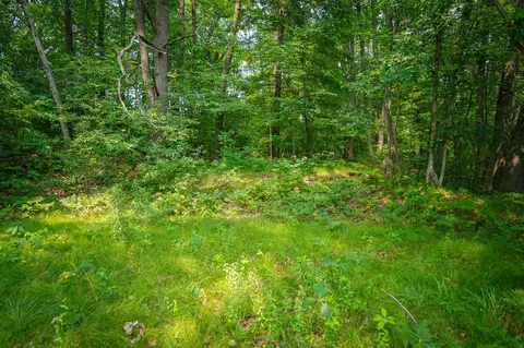 Colfax Park, Walkerville, MI 49459 photo 20