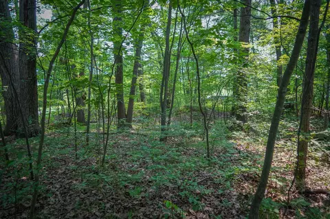 Colfax Park, Walkerville, MI 49459 photo 16