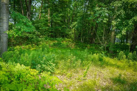Colfax Park, Walkerville, MI 49459 photo 7