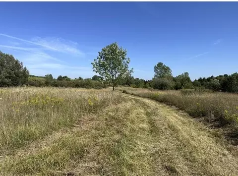Rolling Hills, Fennville, MI 49408