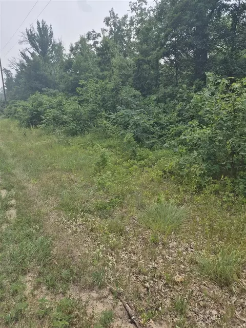 W Foreman, Baldwin, MI 49304 photo 3
