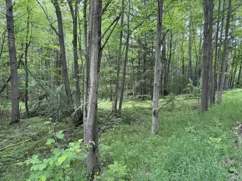 142 Hills, Leroy, MI 49655