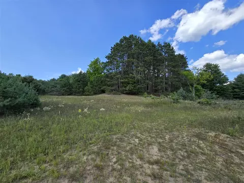 VL 11 Mile #PARCEL B, Bear Lake, MI 49614