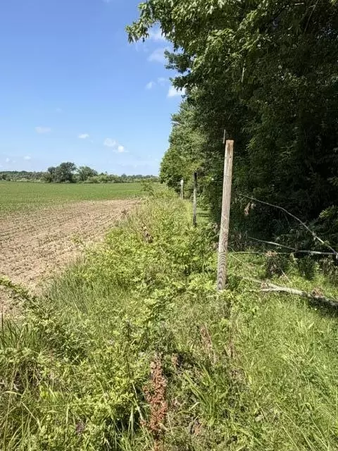 Other - 4084 Hartman, Sodus, MI 49126 photo 14 of 17