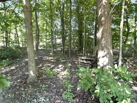 Exterior - 4084 Hartman, Sodus, MI 49126 photo 7 of 30