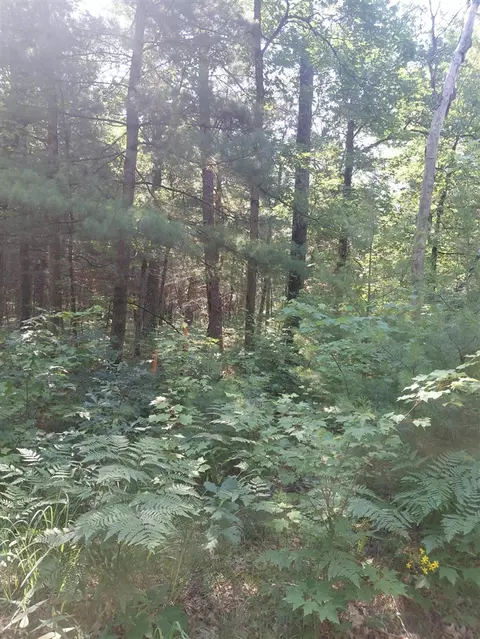 2807 S Evergreen, White Cloud, MI 49349 photo 2