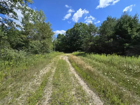 Leckrone, Brethren, MI 49315 photo 4