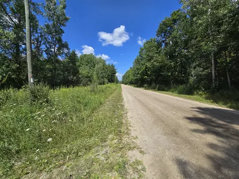 Leckrone, Brethren, MI 49315 photo 6