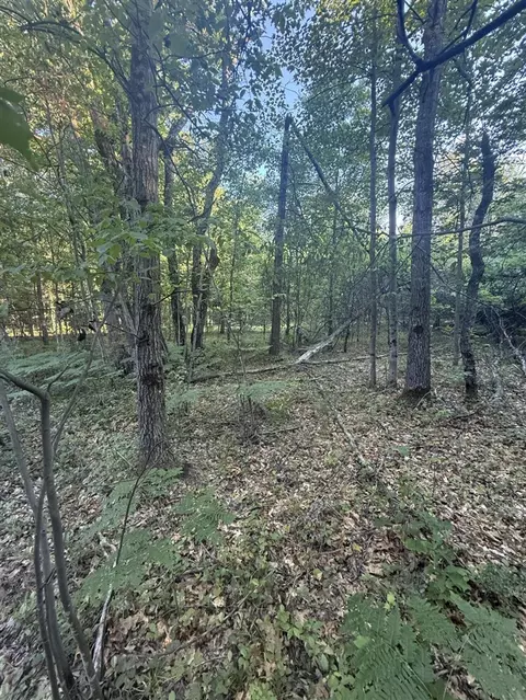 Michael, Alger, MI 48610 photo 24