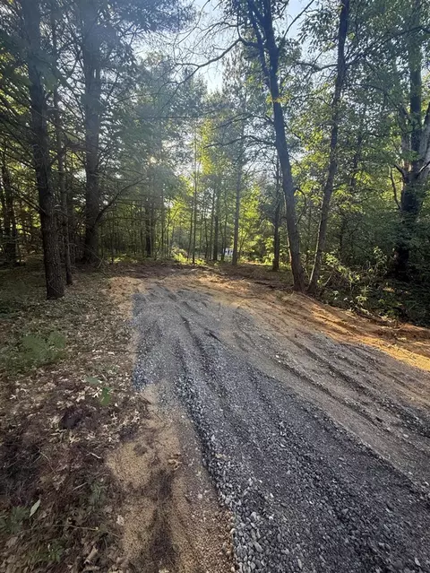 Michael, Alger, MI 48610