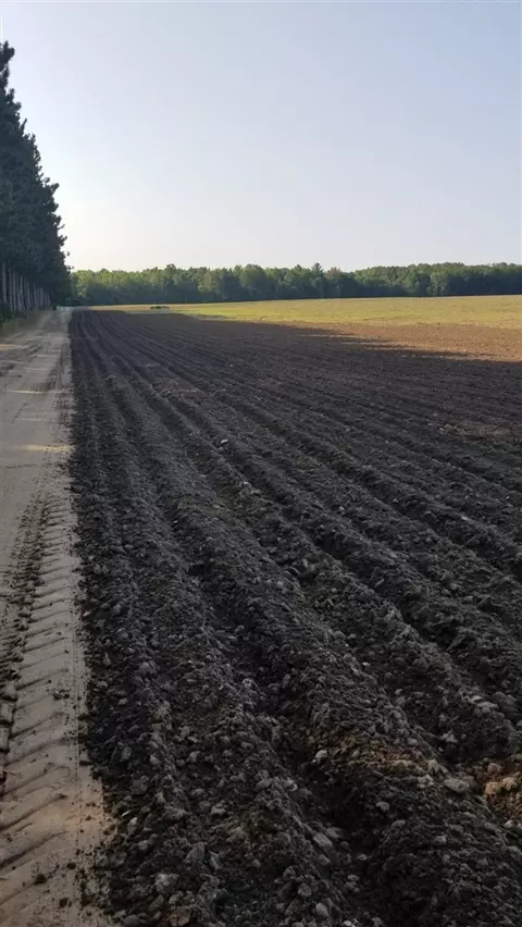Johnson, Kaleva, MI 49645 photo 6