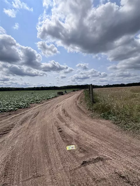 Johnson, Kaleva, MI 49645 photo 12