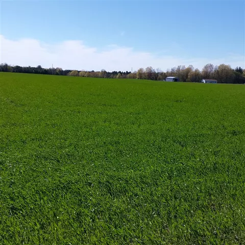 Johnson, Kaleva, MI 49645 photo 11