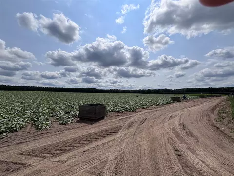 Johnson, Kaleva, MI 49645 photo 13