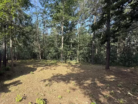 3544 S Cornell, Baldwin, MI 49304 photo 4