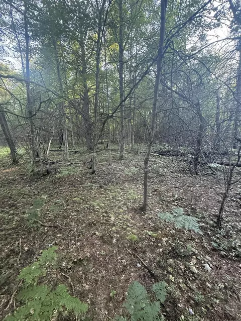 Michael, Alger, MI 48610 photo 22